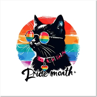 Pride LGBTQIA Trans Black Cat Posters and Art